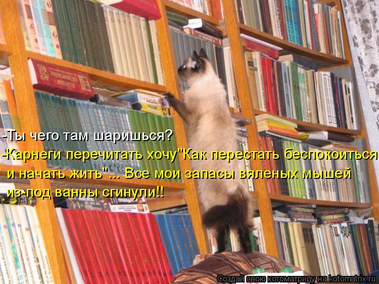 -Карнеги перечитать хочу"Как перестать беспокоиться -Ты чего там шаришься? из-под ванны сгинули!! и н... Котоматрица: -Карнеги перечитать хочу"Как перестать беспокоиться -Ты чего там шаришься? из-под ванны сгинули!! и начать жить"... Все мои запасы вяленых мыш?