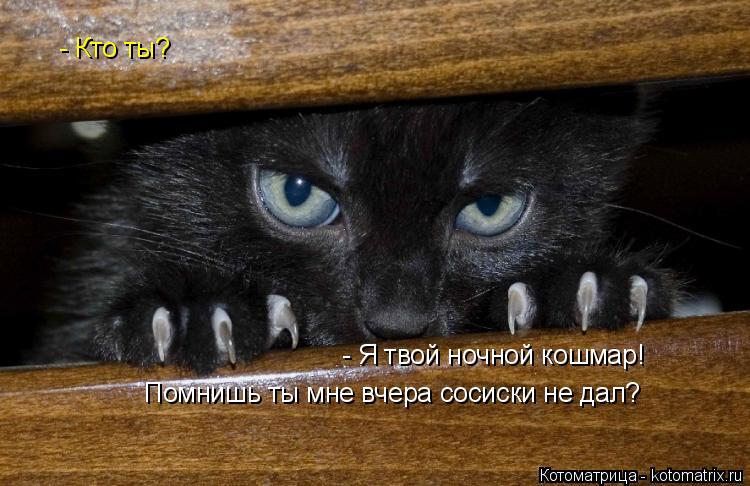 Помнишь ты мне вчера сосиски не дал? - Кто ты? - Я твой ночной кошмар!... Котоматрица: Помнишь ты мне вчера сосиски не дал? - Кто ты? - Я твой ночной кошмар!