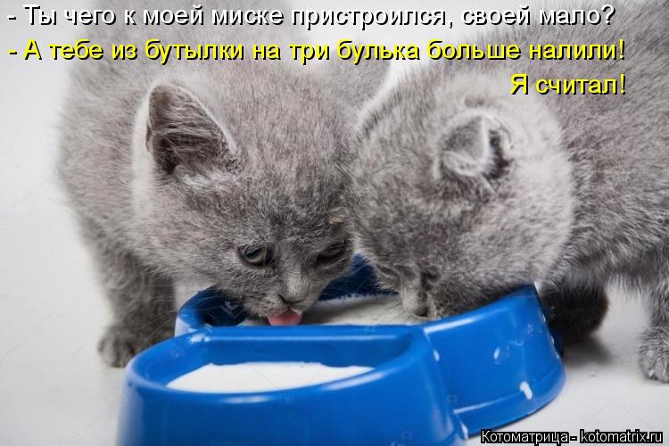 - Ты чего к моей миске пристроился, своей мало? - А тебе из бутылки на три булька больше налили! Я с... Котоматрица: - Ты чего к моей миске пристроился, своей мало? - А тебе из бутылки на три булька больше налили! Я считал!