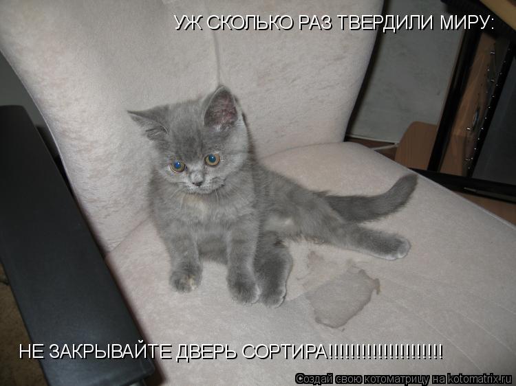 Котоматрица: УЖ СКОЛЬКО РАЗ ТВЕРДИЛИ МИРУ: НЕ ЗАКРЫВАЙТЕ ДВЕРЬ СОРТИРА!!!!!!!!!!!!!!!!!!!!!