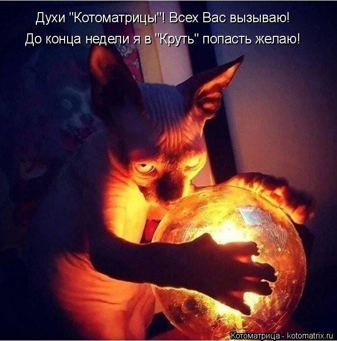 Духи "Котоматрицы"! Всех Вас вызываю! До конца недели я в "Круть" попасть желаю!... Котоматрица: Духи "Котоматрицы"! Всех Вас вызываю! До конца недели я в "Круть" попасть желаю!