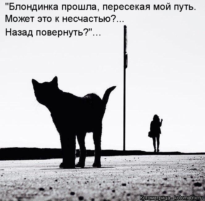 "Блондинка прошла, пересекая мой путь. Может это к несчастью?... Назад повернуть?"…... Котоматрица: "Блондинка прошла, пересекая мой путь. Может это к несчастью?... Назад повернуть?"…