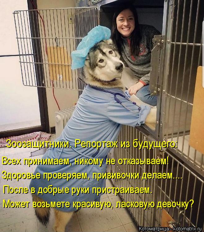 Зоозащитники. Репортаж из будущего: Всех принимаем, никому не отказываем! Здоровье проверяем, прививо... Котоматрица: Зоозащитники. Репортаж из будущего: Всех принимаем, никому не отказываем! Здоровье проверяем, прививочки делаем.... После в добрые руки прис?
