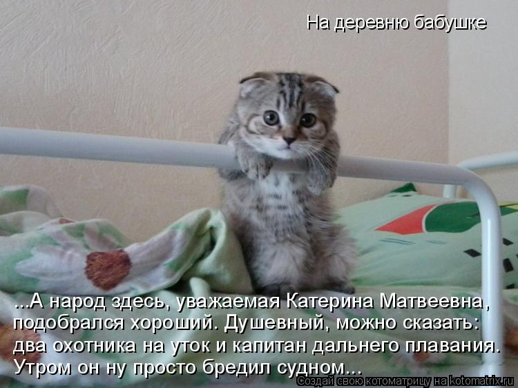 подобрался хороший. Душевный, можно сказать: два охотника на уток и капитан дальнего плавания. Утром ... Котоматрица: подобрался хороший. Душевный, можно сказать: два охотника на уток и капитан дальнего плавания. Утром он ну просто бредил судном... ...А народ з