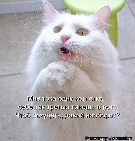 Мне тока одну котлетку, себе так третью тянешь в рот... Чтоб похудеть, давай наоборот?... Котоматрица: Мне тока одну котлетку, себе так третью тянешь в рот... Чтоб похудеть, давай наоборот?