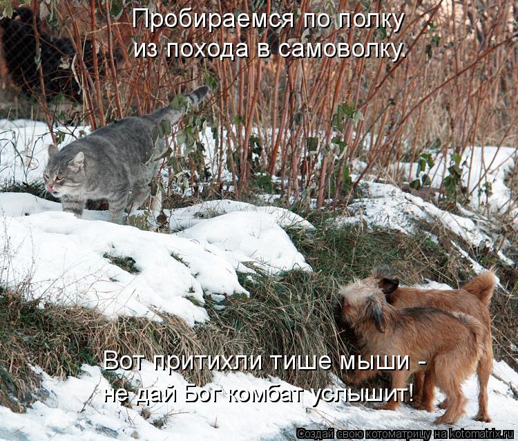 Пробираемся по полку из похода в самоволку. Вот притихли тише мыши - не дай Бог комбат услышит! не да... Котоматрица: Пробираемся по полку из похода в самоволку. Вот притихли тише мыши - не дай Бог комбат услышит! не дай Бог комбат услышит!