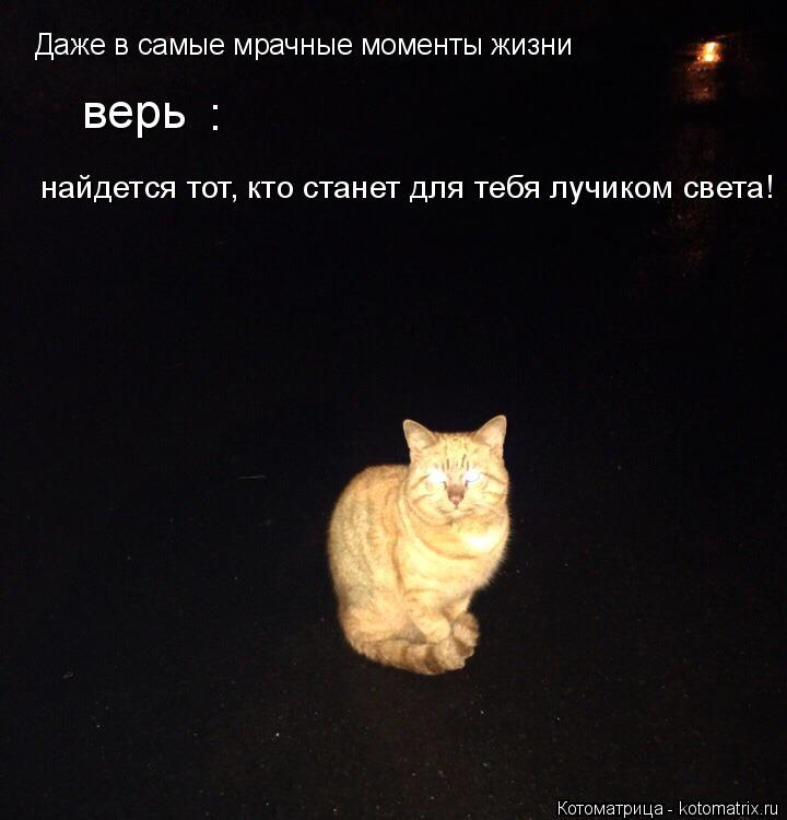 Даже в самые мрачные моменты жизни верь : найдется тот, кто станет для тебя лучиком света!... Котоматрица: Даже в самые мрачные моменты жизни верь : найдется тот, кто станет для тебя лучиком света!
