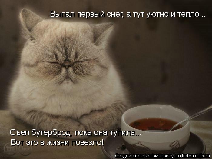 Выпал первый снег, а тут уютно и тепло... Съел бутерброд, пока она тупила... Вот это в жизни повезло... Котоматрица: Выпал первый снег, а тут уютно и тепло... Съел бутерброд, пока она тупила... Вот это в жизни повезло!