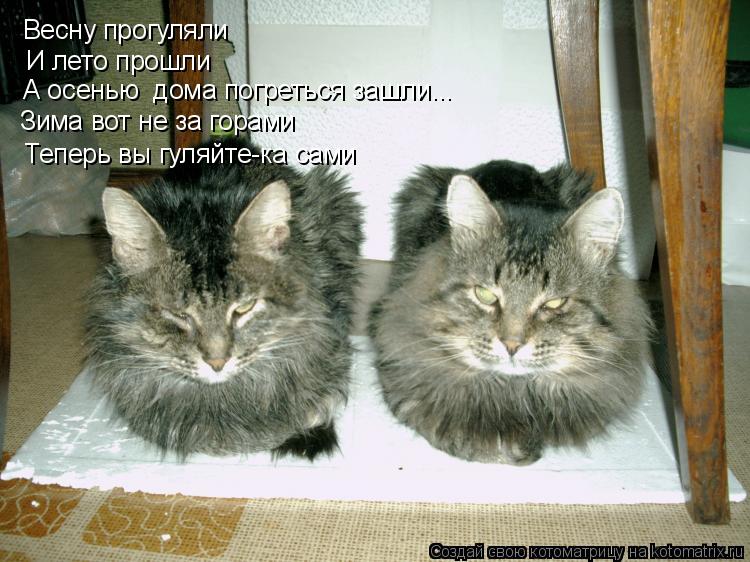 Весну прогуляли И лето прошли Зима вот не за горами Теперь вы гуляйте-ка сами А осенью дома погретьс... Котоматрица: Весну прогуляли И лето прошли Зима вот не за горами Теперь вы гуляйте-ка сами А осенью дома погреться зашли...