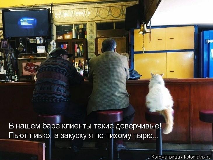 В нашем баре клиенты такие доверчивые! Пьют пивко, а закуску я по-тихому тырю...... Котоматрица: В нашем баре клиенты такие доверчивые! Пьют пивко, а закуску я по-тихому тырю...