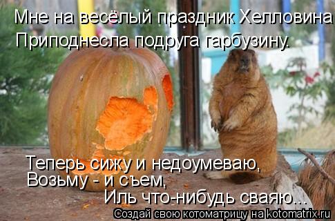 Мне на весёлый праздник Хелловина Приподнесла подруга гарбузину. Теперь сижу и недоумеваю, Возьму - ... Котоматрица: Мне на весёлый праздник Хелловина Приподнесла подруга гарбузину. Теперь сижу и недоумеваю, Возьму - и съем, Иль что-нибудь сваяю...