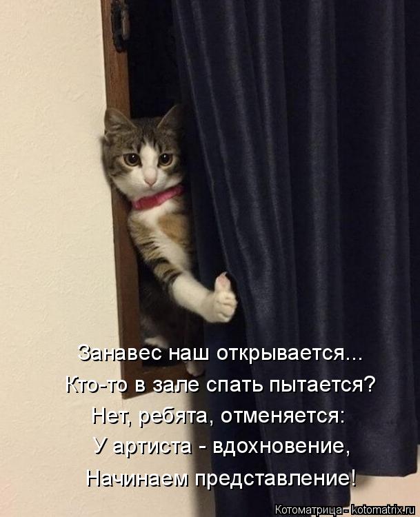Занавес наш открывается... Кто-то в зале спать пытается? Нет, ребята, отменяется: У артиста - вдохнов... Котоматрица: Занавес наш открывается... Кто-то в зале спать пытается? Нет, ребята, отменяется: У артиста - вдохновение, Начинаем представление!