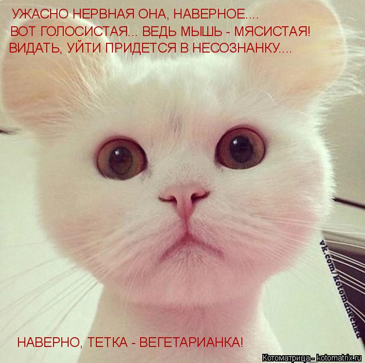 УЖАСНО НЕРВНАЯ ОНА, НАВЕРНОЕ.... ВОТ ГОЛОСИСТАЯ... ВЕДЬ МЫШЬ - МЯСИСТАЯ! ВИДАТЬ, УЙТИ ПРИДЕТСЯ В НЕСО... Котоматрица: УЖАСНО НЕРВНАЯ ОНА, НАВЕРНОЕ.... ВОТ ГОЛОСИСТАЯ... ВЕДЬ МЫШЬ - МЯСИСТАЯ! ВИДАТЬ, УЙТИ ПРИДЕТСЯ В НЕСОЗНАНКУ.... НАВЕРНО, ТЕТКА - ВЕГЕТАРИАНКА!