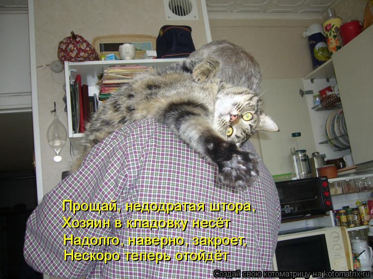 Прощай, недодратая штора, Хозяин в кладовку несёт Нескоро теперь отойдёт Надолго, наверно, закроет... Котоматрица: Прощай, недодратая штора, Хозяин в кладовку несёт Нескоро теперь отойдёт Надолго, наверно, закроет,