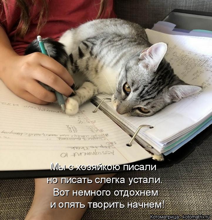 и опять творить начнем! Вот немного отдохнем но писать слегка устали. Мы с хозяйкою писали... Котоматрица: и опять творить начнем! Вот немного отдохнем но писать слегка устали. Мы с хозяйкою писали