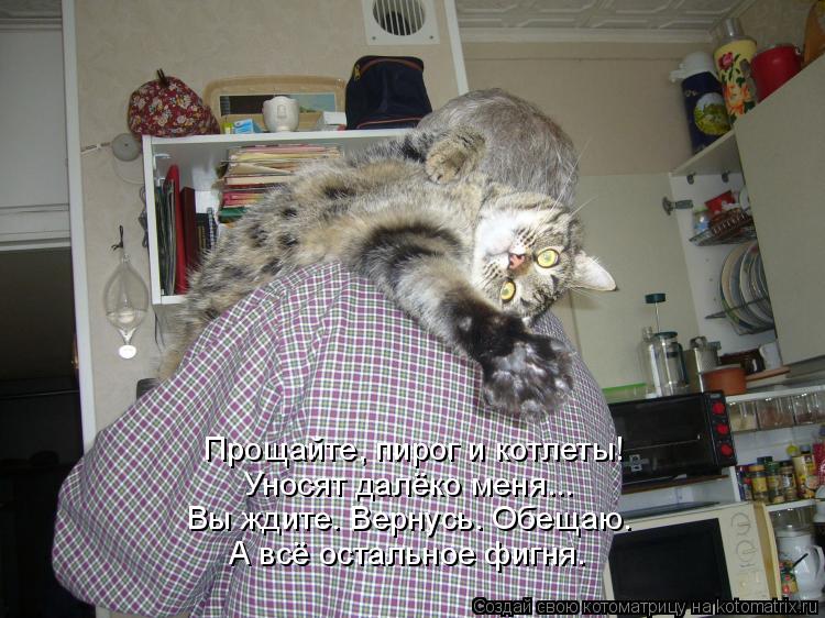 Прощайте, пирог и котлеты! Уносят далёко меня... Вы ждите. Вернусь. Обещаю. А всё остальное фигня.... Котоматрица: Прощайте, пирог и котлеты! Уносят далёко меня... Вы ждите. Вернусь. Обещаю. А всё остальное фигня.