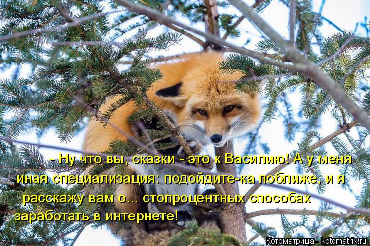 - Ну что вы, сказки - это к Василию! А у меня иная специализация: подойдите-ка поближе, и я расскаж... Котоматрица: - Ну что вы, сказки - это к Василию! А у меня иная специализация: подойдите-ка поближе, и я расскажу вам о... стопроцентных способах заработать