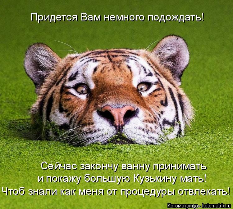 Сейчас закончу ванну принимать и покажу большую Кузькину мать! Чтоб знали как меня от процедуры отвле... Котоматрица: Сейчас закончу ванну принимать и покажу большую Кузькину мать! Чтоб знали как меня от процедуры отвлекать! Придется Вам немного подождать!