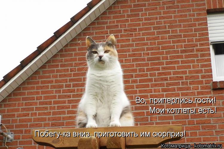 Котоматрица: Во, приперлись гости! Мои котлеты есть! Побегу-ка вниз, приготовить им сюрприз!