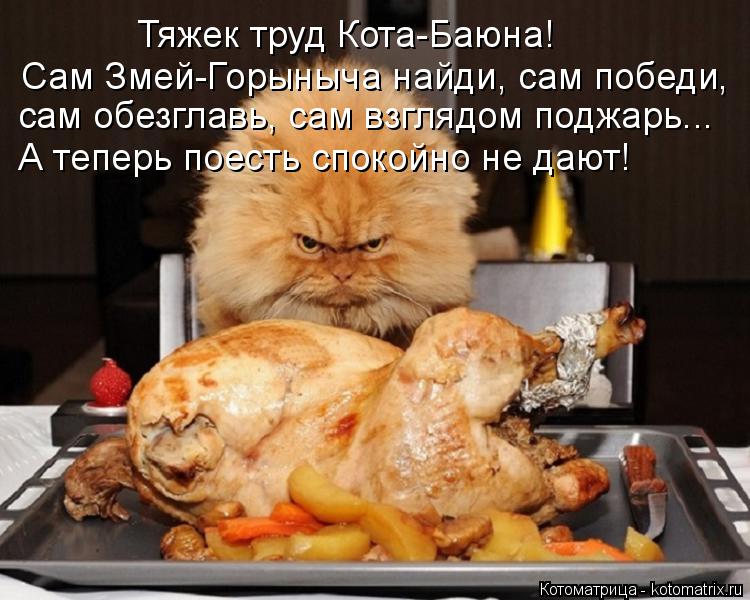 Тяжек труд Кота-Баюна! Сам Змей-Горыныча найди, сам победи, сам обезглавь, сам взглядом поджарь... А... Котоматрица: Тяжек труд Кота-Баюна! Сам Змей-Горыныча найди, сам победи, сам обезглавь, сам взглядом поджарь... А теперь поесть спокойно не дают!