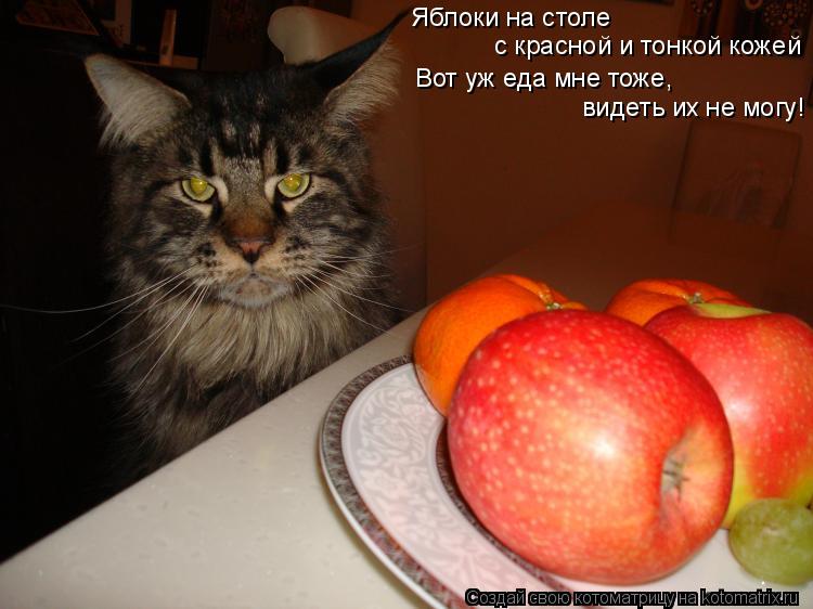 Яблоки на столе с красной и тонкой кожей Вот уж еда мне тоже, видеть их не могу!... Котоматрица: Яблоки на столе с красной и тонкой кожей Вот уж еда мне тоже, видеть их не могу!