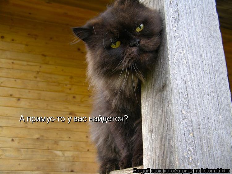 А примус-то у вас найдется?... Котоматрица: А примус-то у вас найдется?