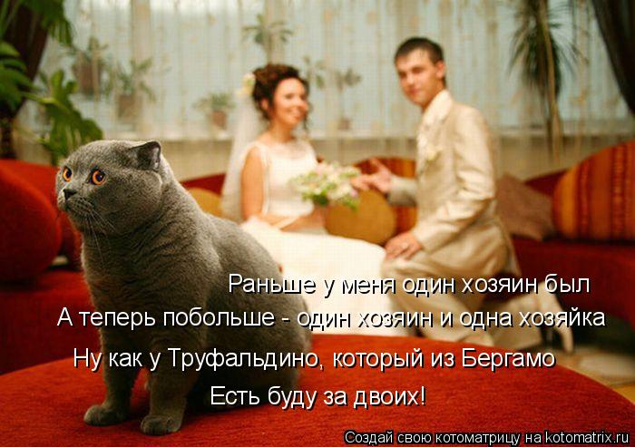 Раньше у меня один хозяин был А теперь побольше - один хозяин и одна хозяйка Ну как у Труфальдино, ко... Котоматрица: Раньше у меня один хозяин был А теперь побольше - один хозяин и одна хозяйка Ну как у Труфальдино, который из Бергамо Есть буду за двоих!