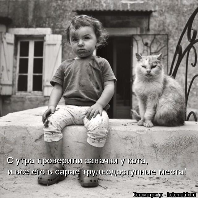 С утра проверили заначки у кота, и все его в сарае труднодоступные места!... Котоматрица: С утра проверили заначки у кота, и все его в сарае труднодоступные места!