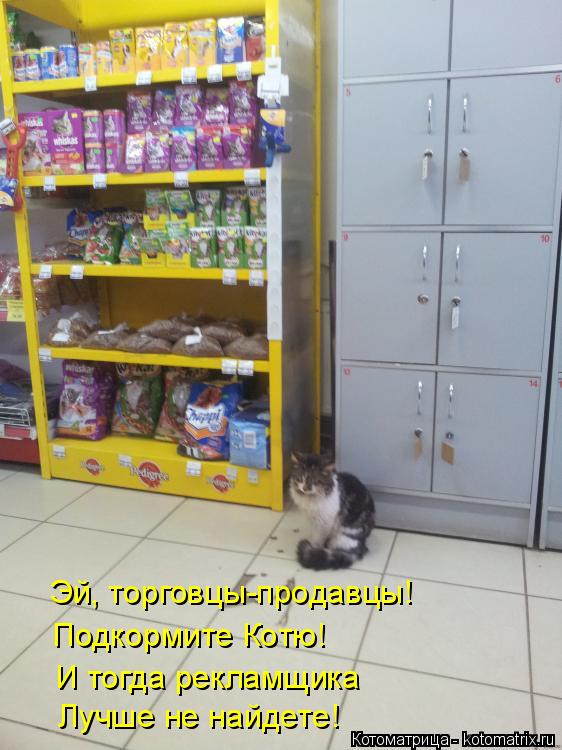 Эй, торговцы-продавцы! Подкормите Котю! И тогда рекламщика Лучше не найдете!... Котоматрица: Эй, торговцы-продавцы! Подкормите Котю! И тогда рекламщика Лучше не найдете!