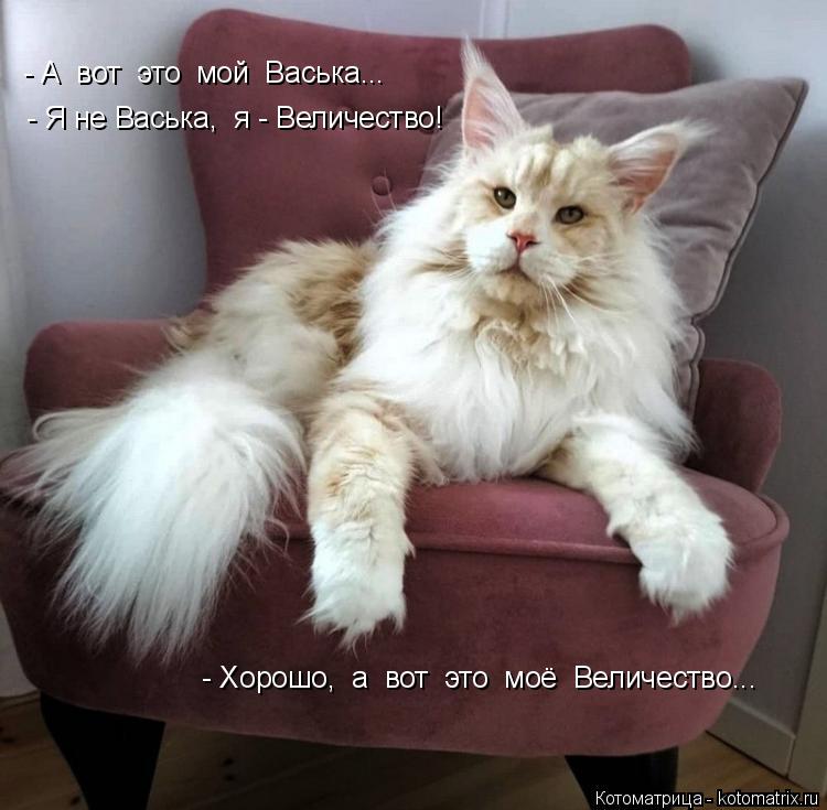 - А вот это мой Васька... - Я не Васька, я - Величество! - Хорошо, а вот это моё Величест... Котоматрица: - А вот это мой Васька... - Я не Васька, я - Величество! - Хорошо, а вот это моё Величество...