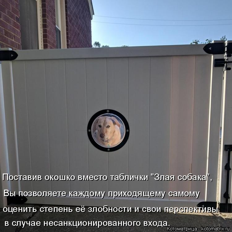 в случае несанкционированного входа. оценить степень её злобности и свои перспективы Вы позволяете ка... Котоматрица: в случае несанкционированного входа. оценить степень её злобности и свои перспективы Вы позволяете каждому приходящему самому Поставив о