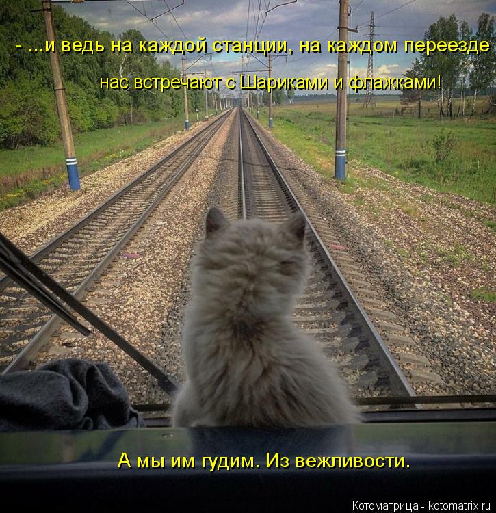 - ...и ведь на каждой станции, на каждом переезде А мы им гудим. Из вежливости. нас встречают с Шари... Котоматрица: - ...и ведь на каждой станции, на каждом переезде А мы им гудим. Из вежливости. нас встречают с Шариками и флажками!