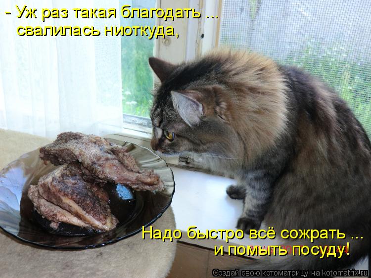 - Уж раз такая благодать ... свалилась ниоткуда, Надо быстро всё сожрать ... и помыть посуду!... Котоматрица: - Уж раз такая благодать ... свалилась ниоткуда, Надо быстро всё сожрать ... и помыть посуду!