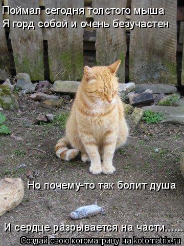 Поймал сегодня толстого мыша Я горд собой и очень безучастен Но почему-то так болит душа И сердце раз... Котоматрица: Поймал сегодня толстого мыша Я горд собой и очень безучастен Но почему-то так болит душа И сердце разрывается на части..............