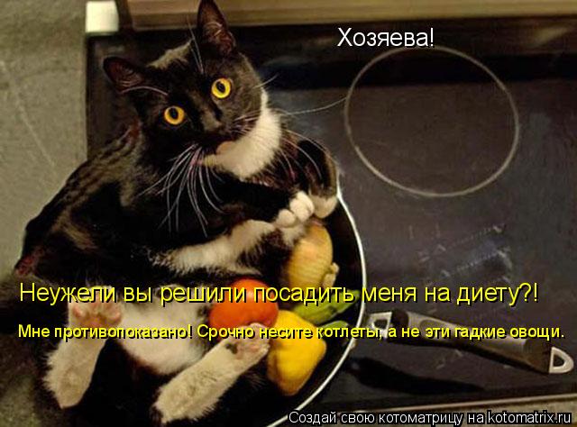 Хозяева! Неужели вы решили посадить меня на диету?! Мне противопоказано! Срочно несите котлеты, а не ... Котоматрица: Хозяева! Неужели вы решили посадить меня на диету?! Мне противопоказано! Срочно несите котлеты, а не эти гадкие овощи.