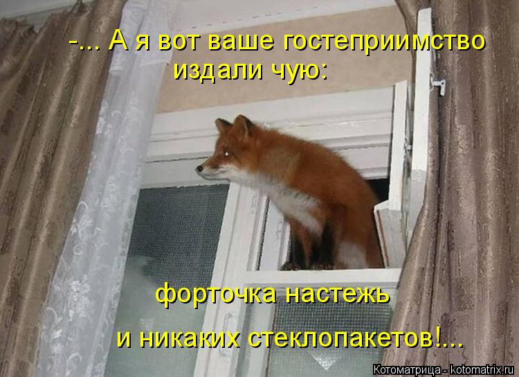 -... А я вот ваше гостеприимство издали чую: форточка настежь и никаких стеклопакетов!...... Котоматрица: -... А я вот ваше гостеприимство издали чую: форточка настежь и никаких стеклопакетов!...