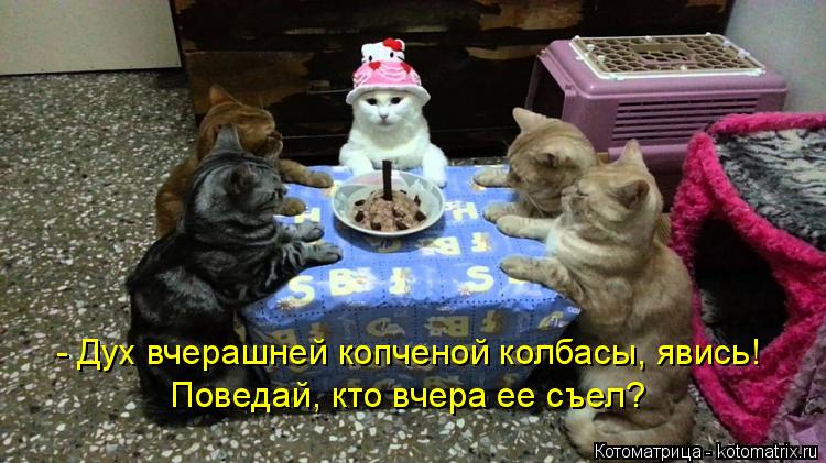 - Дух вчерашней копченой колбасы, явись! Поведай, кто вчера ее съел?... Котоматрица: - Дух вчерашней копченой колбасы, явись! Поведай, кто вчера ее съел?