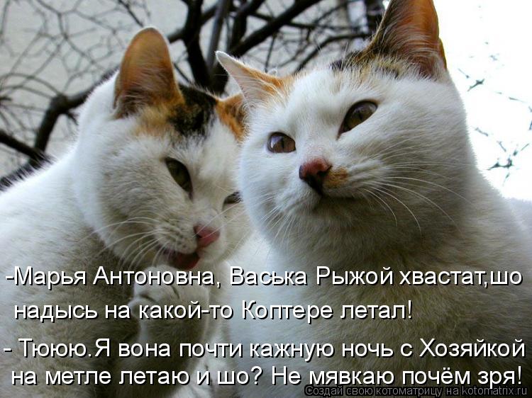 Марья Антоновна, Васька Рыжой хвастат,шо - Тююю.Я вона почти кажную ночь с Хозяйкой на метле летаю и ... Котоматрица: Марья Антоновна, Васька Рыжой хвастат,шо - Тююю.Я вона почти кажную ночь с Хозяйкой на метле летаю и шо? Не мявкаю почём зря! надысь на какой-т
