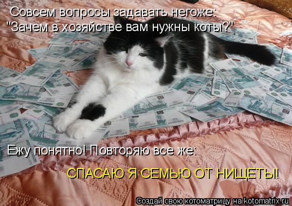 Совсем вопросы задавать негоже: "Зачем в хозяйстве вам нужны коты?" Ежу понятно! Повторяю все же: СПА... Котоматрица: Совсем вопросы задавать негоже: "Зачем в хозяйстве вам нужны коты?" Ежу понятно! Повторяю все же: СПАСАЮ Я СЕМЬЮ ОТ НИЩЕТЫ!