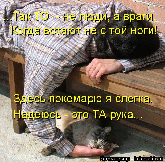 Когда встают не с той ноги! ...Так ТО - не люди, а враги, Здесь покемарю я слегка. Надеюсь - это ТА ... Котоматрица: Когда встают не с той ноги! ...Так ТО - не люди, а враги, Здесь покемарю я слегка. Надеюсь - это ТА рука...