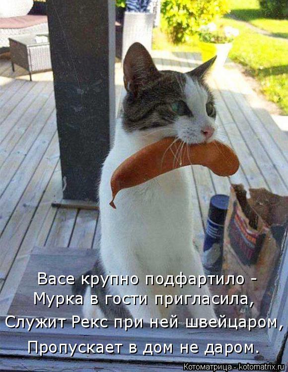 Васе крупно подфартило - Мурка в гости пригласила, Служит Рекс при ней швейцаром, Пропускает в дом не... Котоматрица: Васе крупно подфартило - Мурка в гости пригласила, Служит Рекс при ней швейцаром, Пропускает в дом не даром.