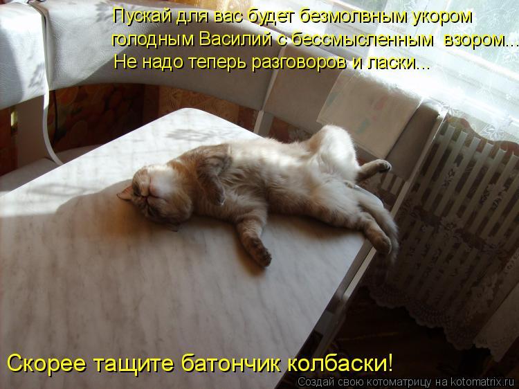 Пускай для вас будет безмолвным укором Не надо теперь разговоров и ласки... Скорее тащите батончик ко... Котоматрица: Пускай для вас будет безмолвным укором Не надо теперь разговоров и ласки... Скорее тащите батончик колбаски! голодным Василий с бессмысленн