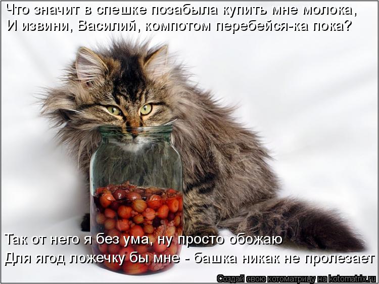 Что значит в спешке позабыла купить мне молока, И извини, Василий, компотом перебейся-ка пока? Так о... Котоматрица: Что значит в спешке позабыла купить мне молока, И извини, Василий, компотом перебейся-ка пока? Так от него я без ума, ну просто обожаю Для яг?