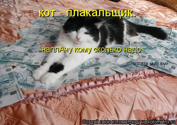 Котоматрица: кот - плакальщик. наплАчу кому сколько надо оплата мышами оплата мышами