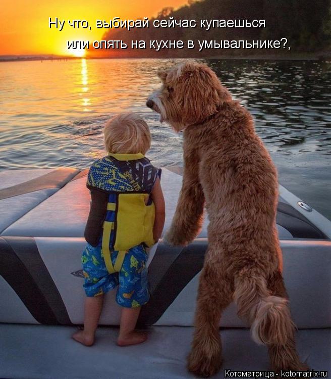 Котоматрица: Ну что, выбирай сейчас купаешься  или опять на кухне в умывальнике?,