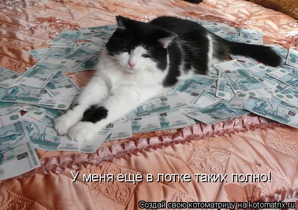 Котоматрица: У меня ещё в лотке таких полно!