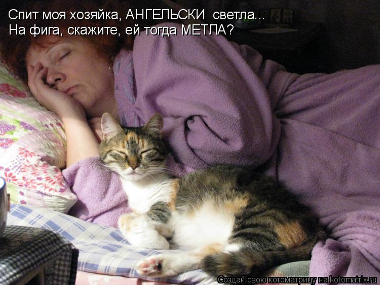 Спит моя хозяйка, АНГЕЛЬСКИ светла... На фига, скажите, ей тогда МЕТЛА?... Котоматрица: Спит моя хозяйка, АНГЕЛЬСКИ светла... На фига, скажите, ей тогда МЕТЛА?