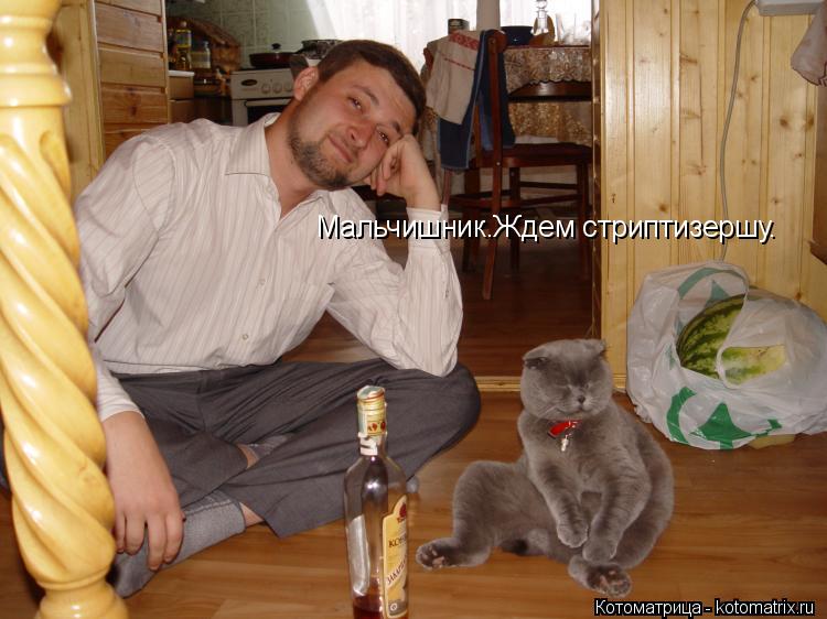 Мальчишник.Ждем стриптизершу.... Котоматрица: Мальчишник.Ждем стриптизершу.