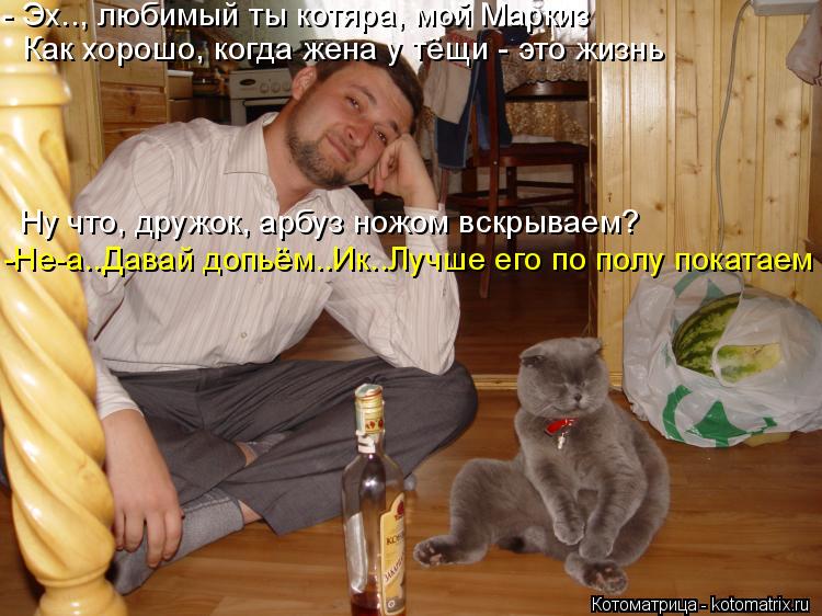 - Эх.., любимый ты котяра, мой Маркиз Как хорошо, когда жена у тёщи - это жизнь Ну что, дружок, арбуз... Котоматрица: - Эх.., любимый ты котяра, мой Маркиз Как хорошо, когда жена у тёщи - это жизнь Ну что, дружок, арбуз ножом вскрываем? -Не-а..Давай допьём..Ик..Лучш