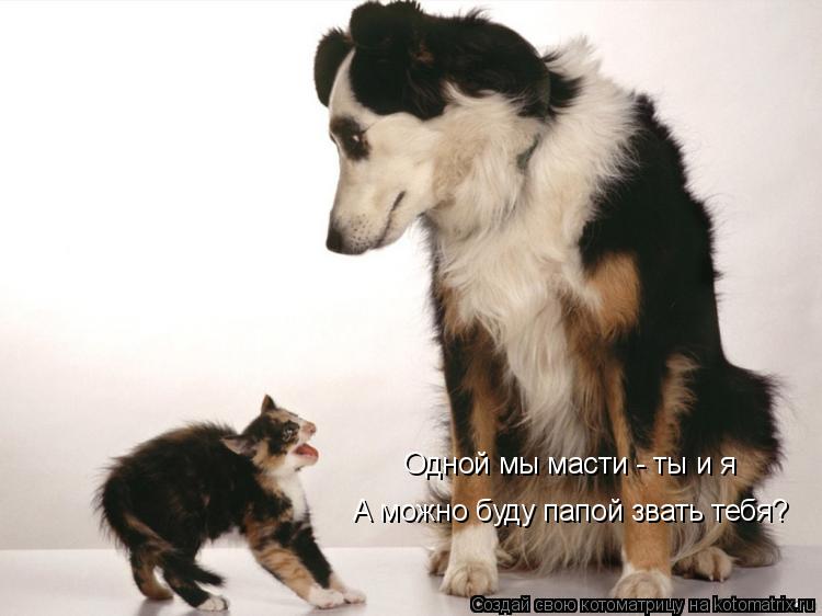 Одной мы масти - ты и я А можно буду папой звать тебя?... Котоматрица: Одной мы масти - ты и я А можно буду папой звать тебя?